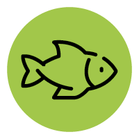 FS-2024-icon-fish