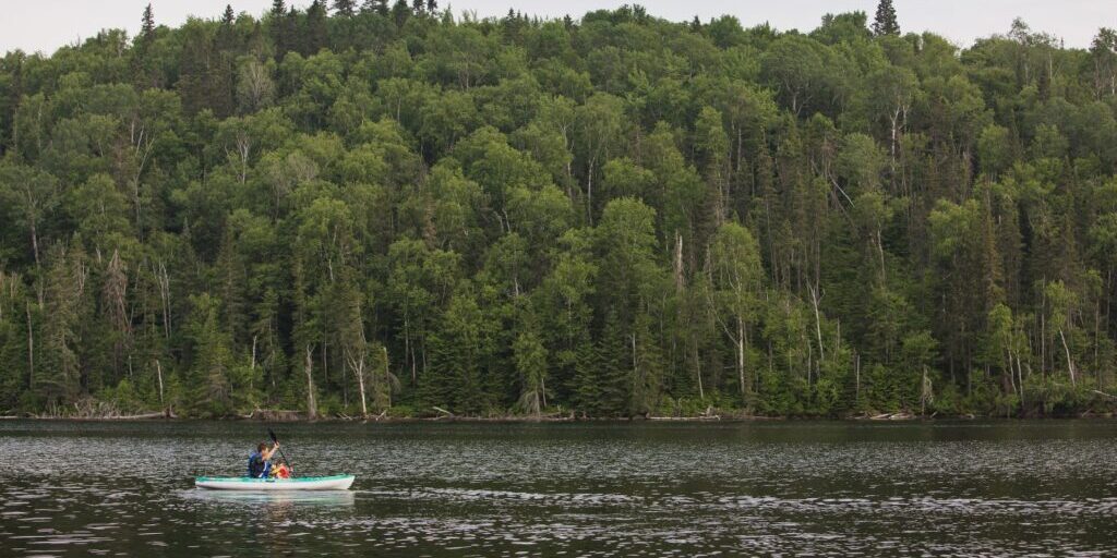 Une personne rame un kayak avec une forêt en arrière-plan.